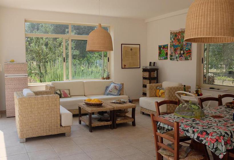 B&b Finestre Tra Gli Ulivi  | Mesagne | Brindisi | Italia 9