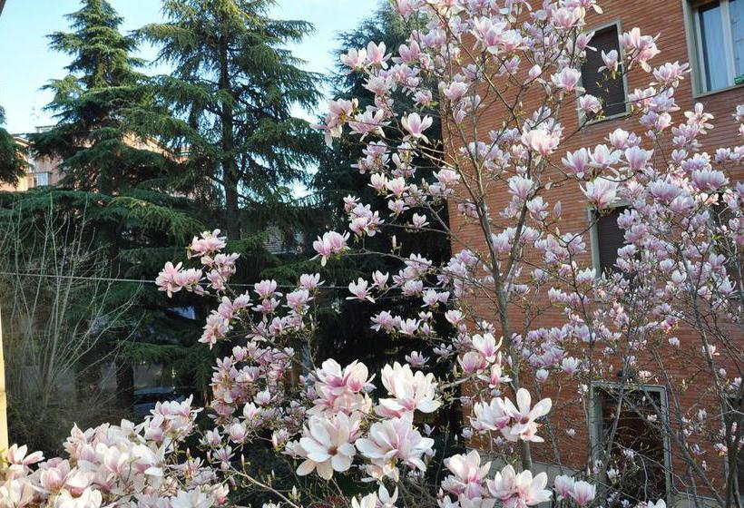 B&b Villa Marsa  | Bologna | Bologna | Italia 9