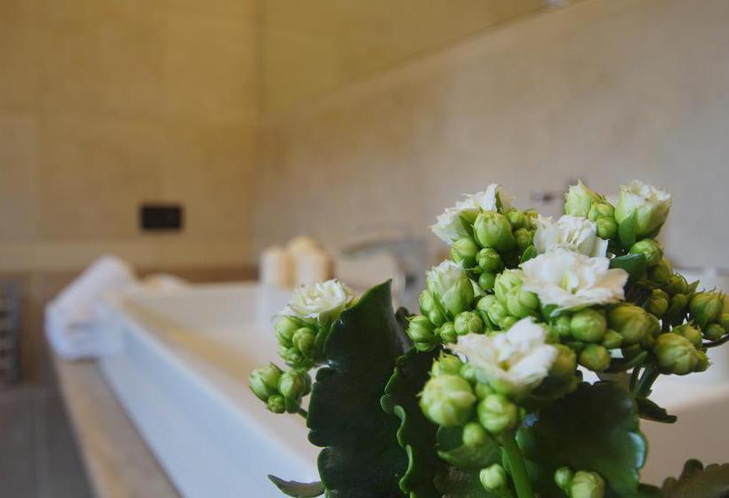 B&b Il Verde Arancio  | Marino | Roma | Italia 1