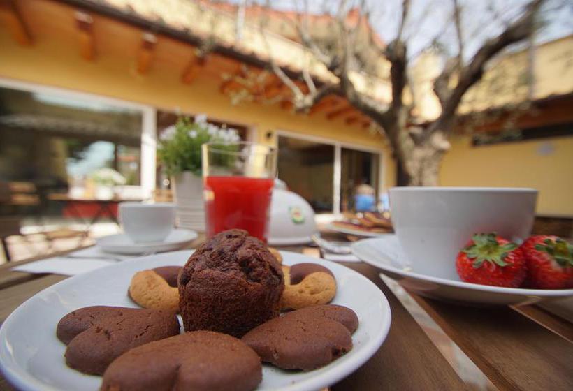 B&b Il Verde Arancio  | Marino | Roma | Italia 12