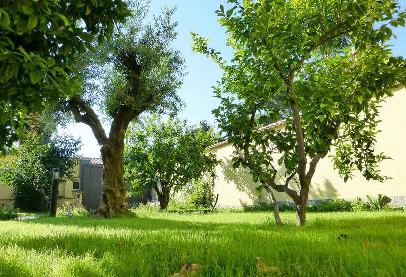 B&b Il Verde Arancio  | Marino | Roma | Italia 13