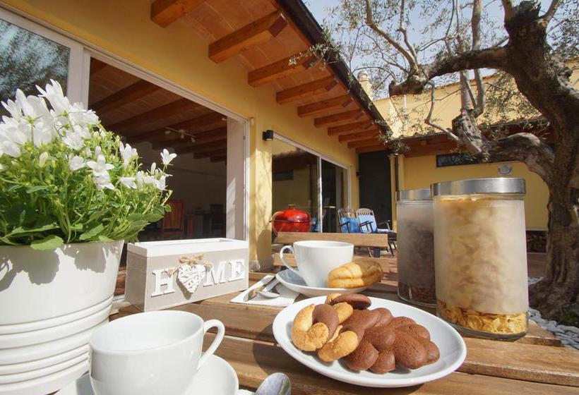 B&b Il Verde Arancio  | Marino | Roma | Italia 2