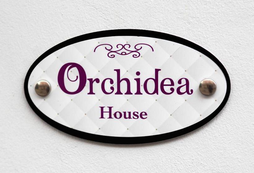 Bed and Breakfast Orchidea House  | Civitanova Marche | Macerata | Italia 1