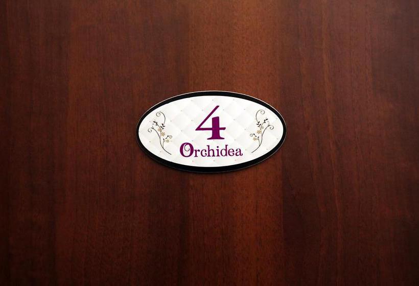 Bed and Breakfast Orchidea House  | Civitanova Marche | Macerata | Italia 11