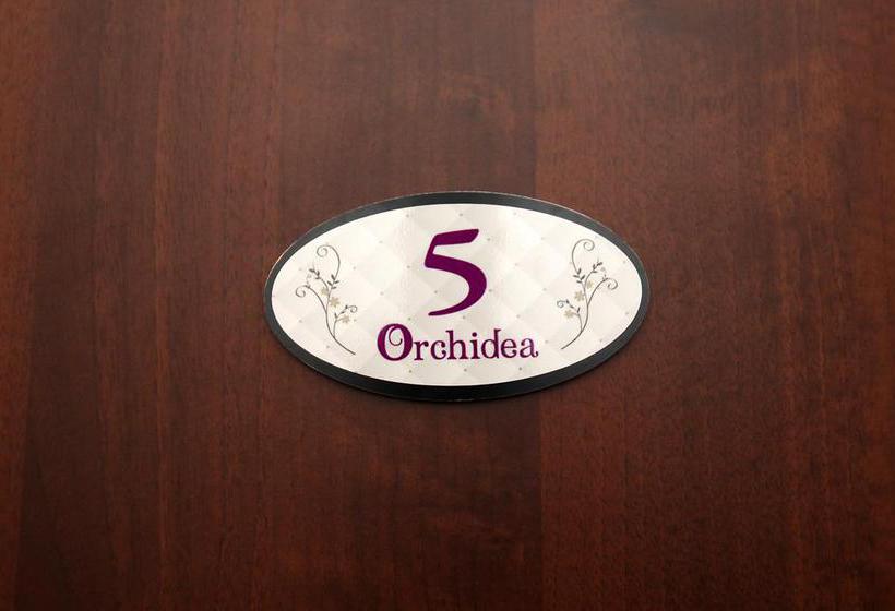 Bed and Breakfast Orchidea House  | Civitanova Marche | Macerata | Italia 12