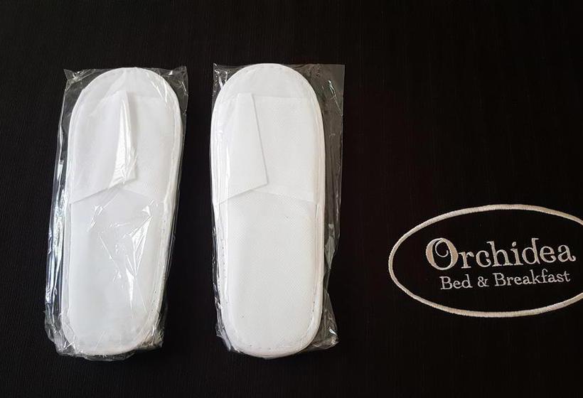 Bed and Breakfast Orchidea House  | Civitanova Marche | Macerata | Italia 15