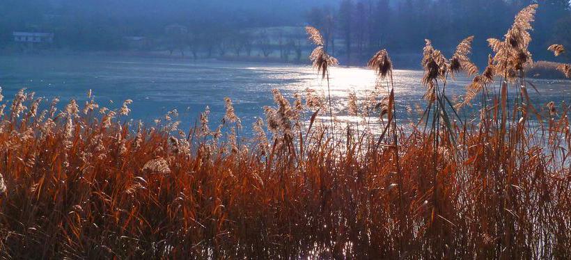 Hotel Albergo La Romanella  | Spinone al Lago | Bergamo | Italien 1
