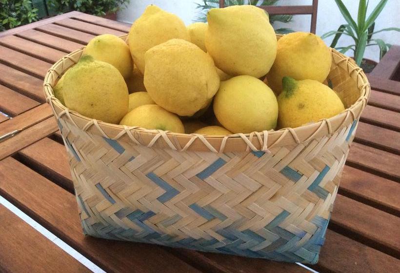 B&b Castle House  | Catania | Catania | Italia 12