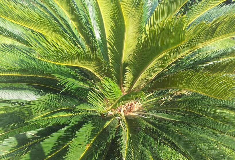 B&b Ariadamare  | Sanremo | Imperia | Italia 15