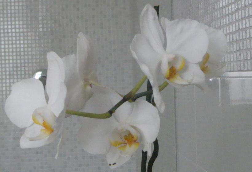 Gianduja B&b  | Turin | Turin | Italy 6