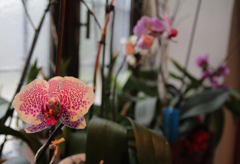 B&b Casa Carla  | Pinerolo | Torino | Italia 16