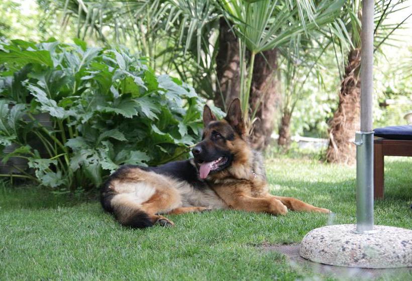 B&b Casa Carla  | Pinerolo | Torino | Italia 17