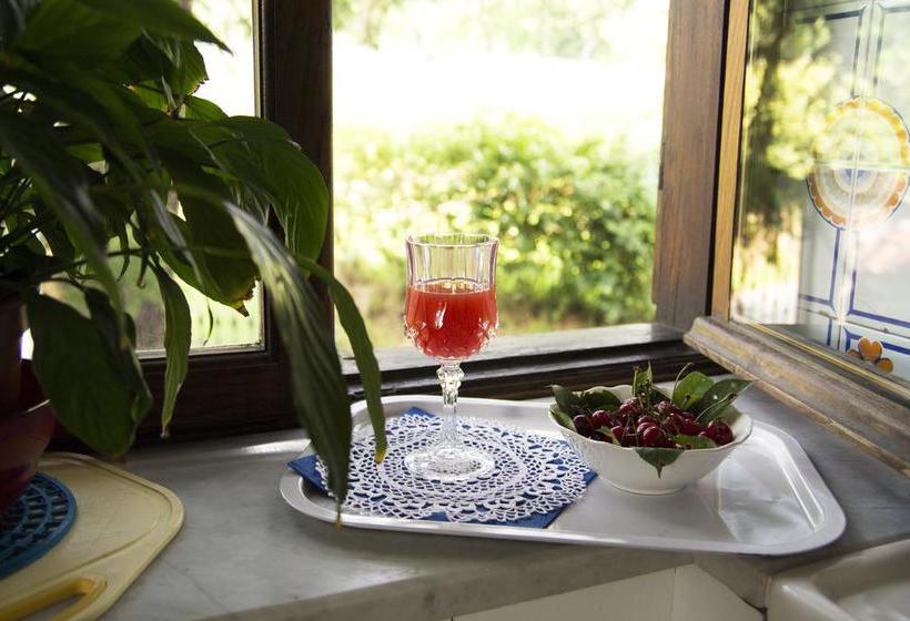 B&b Casa Carla  | Pinerolo | Torino | Italia 7