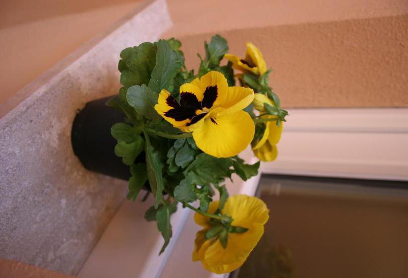 Bed and Breakfast Note Sulla Piazza  | Cagliari | Sardegna | Italia 9