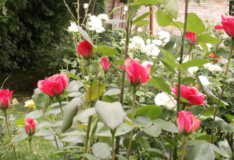 B&b Il Casone  | Montelupone | Macerata | Italia 10