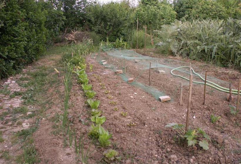 B&b Il Casone  | Montelupone | Macerata | Italia 13