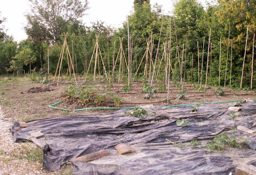 B&b Il Casone  | Montelupone | Macerata | Italia 14