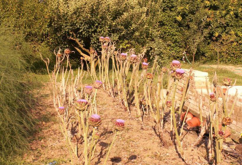 B&b Il Casone  | Montelupone | Macerata | Italia 9