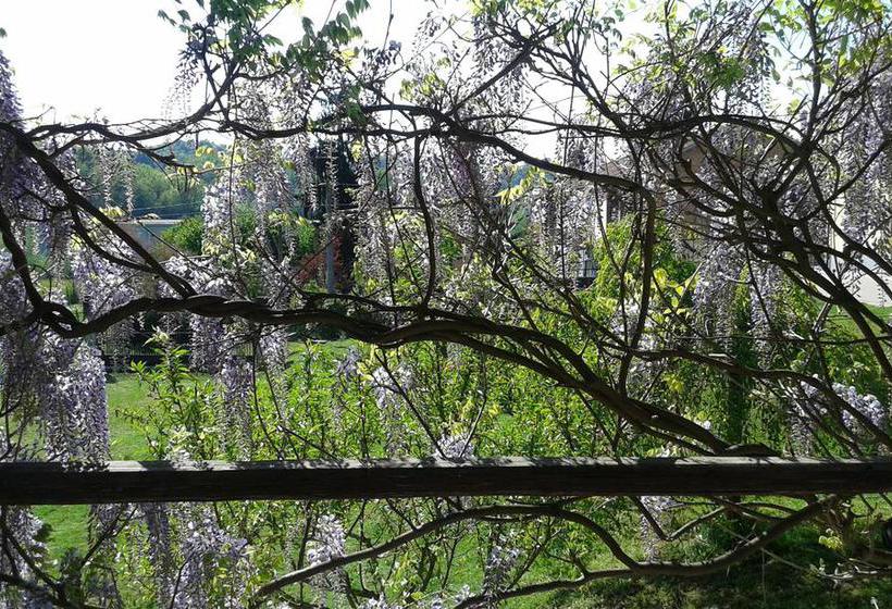 B&b La Coccarda  | Castell'Alfero | Asti | Italia 19