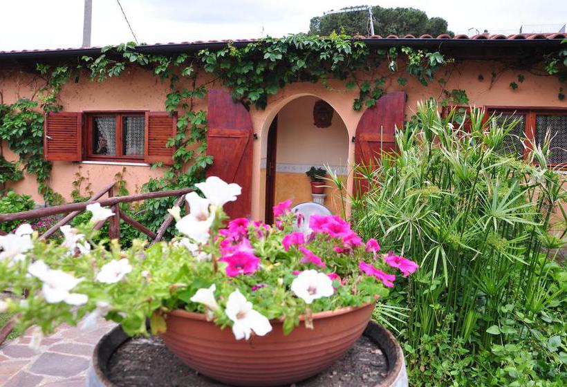 Bed & Breakfast Da Giacomo  | Frascati | Roma | Italia 7