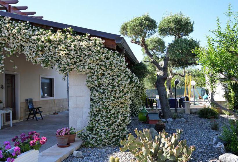 B&b Delle Rondini Alberobello