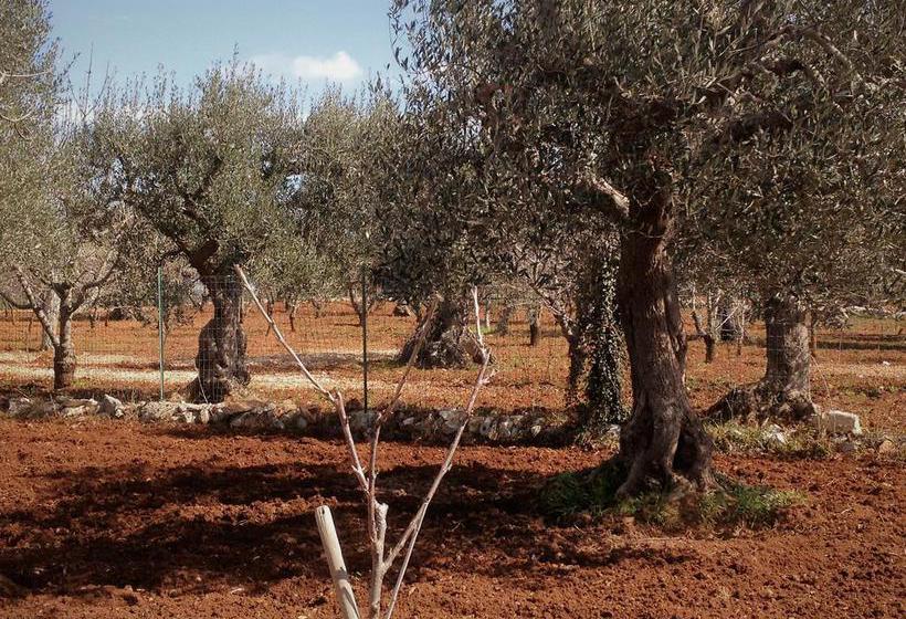 B&b Delle Rondini  | Alberobello | Bari | Italia 4