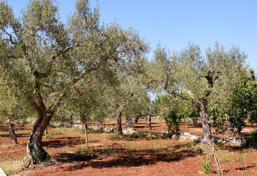 B&b Delle Rondini  | Alberobello | Bari | Italia 8