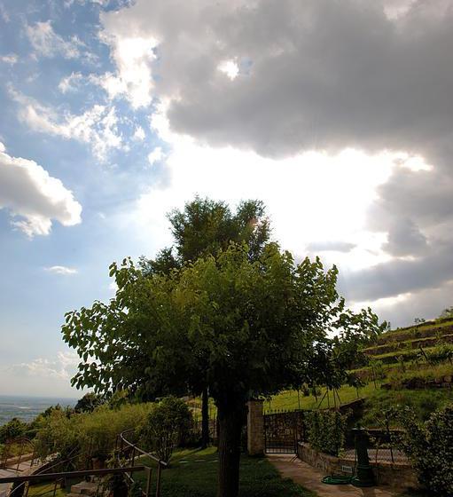 Al Romanì B&b  | Grumello del Monte | Bergamo | Italia 19