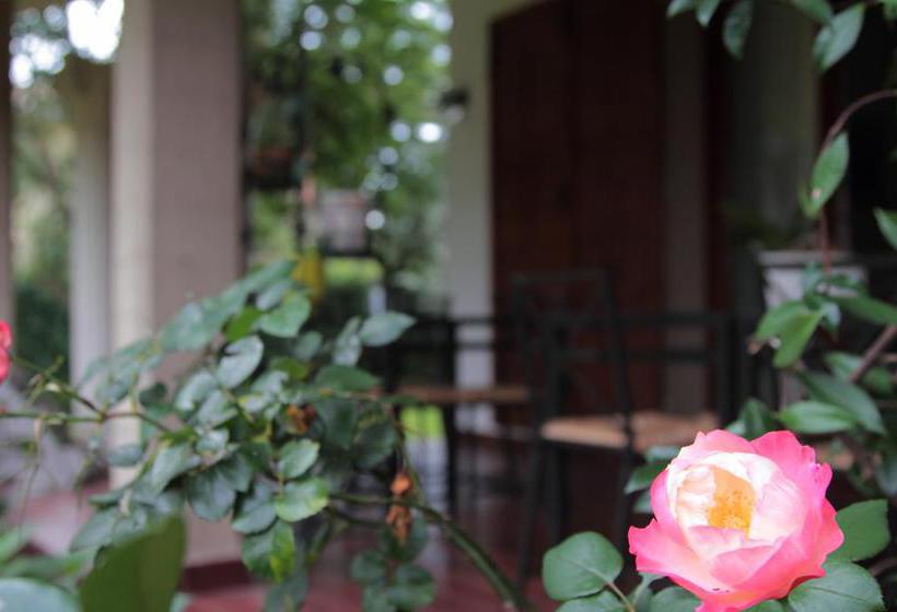 Bed and Breakfast Villa Ortensia  | Spresiano | Treviso | Italia 10