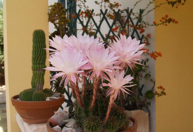 B&b Contrada Monaci  | Casarano | Lecce | Italia 10