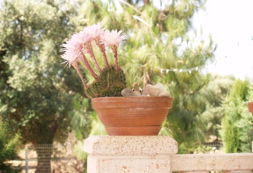 B&b Contrada Monaci  | Casarano | Lecce | Italia 13