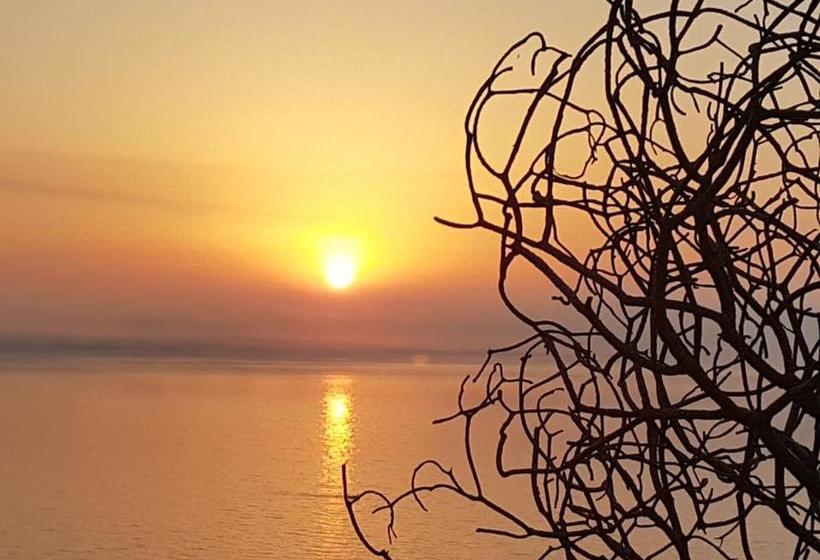 B&b Contrada Monaci  | Casarano | Lecce | Italia 20