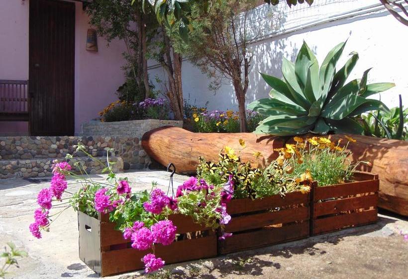 Bed and Breakfast Il Vecchio Ginepro  | Capoterra | Sardegna | Italia 17