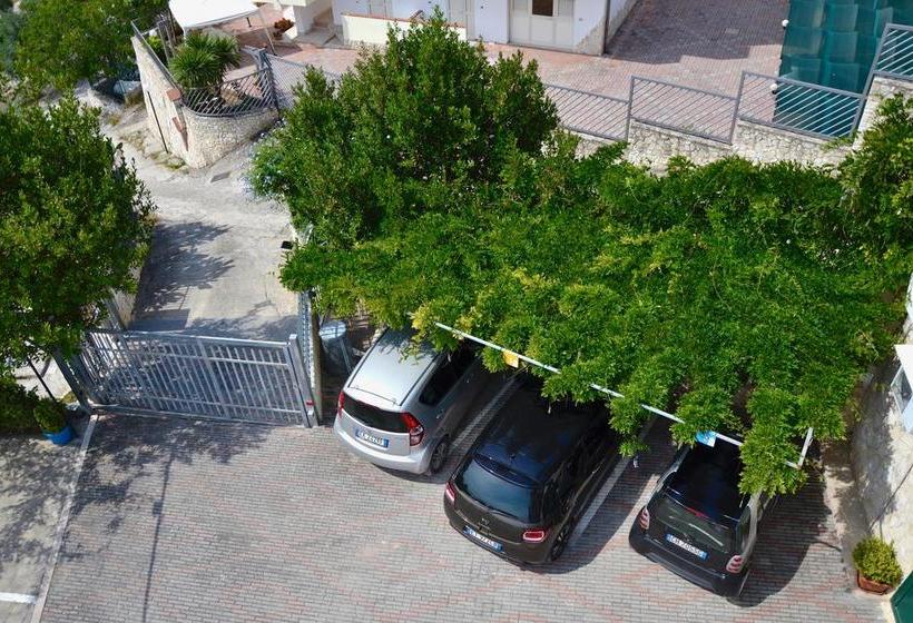 B&b Il Giardino Stellato  | Vieste | Foggia | Italia 3