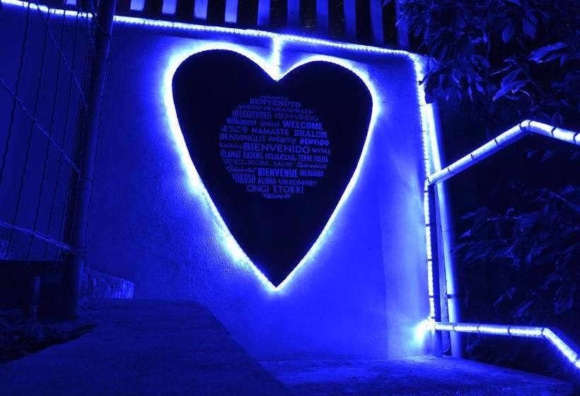 B&b Il Giardino Stellato  | Vieste | Foggia | Italia 8