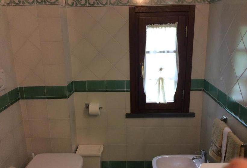 Bed and Breakfast Il Porticato  | Pisa | Pisa | Italia 10