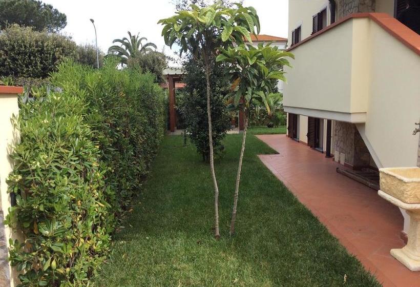 Bed and Breakfast Il Porticato  | Pisa | Pisa | Italia 2