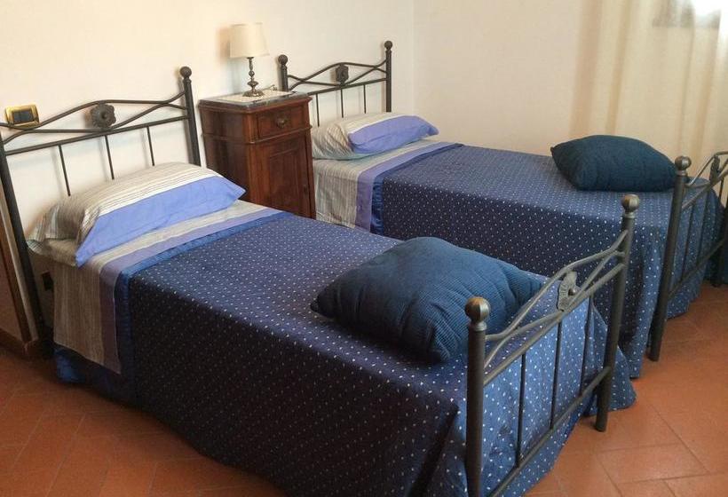 Bed and Breakfast Il Porticato  | Pisa | Pisa | Italia 3