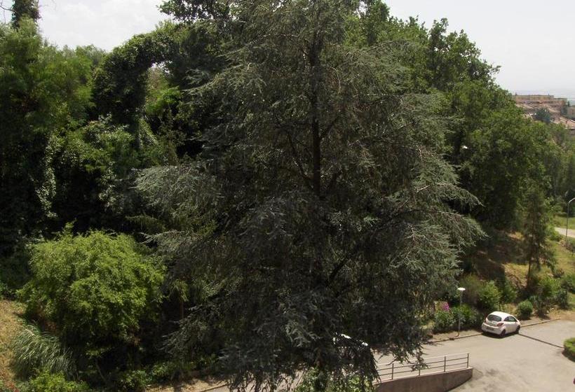 Accogliente E Ospitale B&b  | Pérouse | Perugia | Italie 13