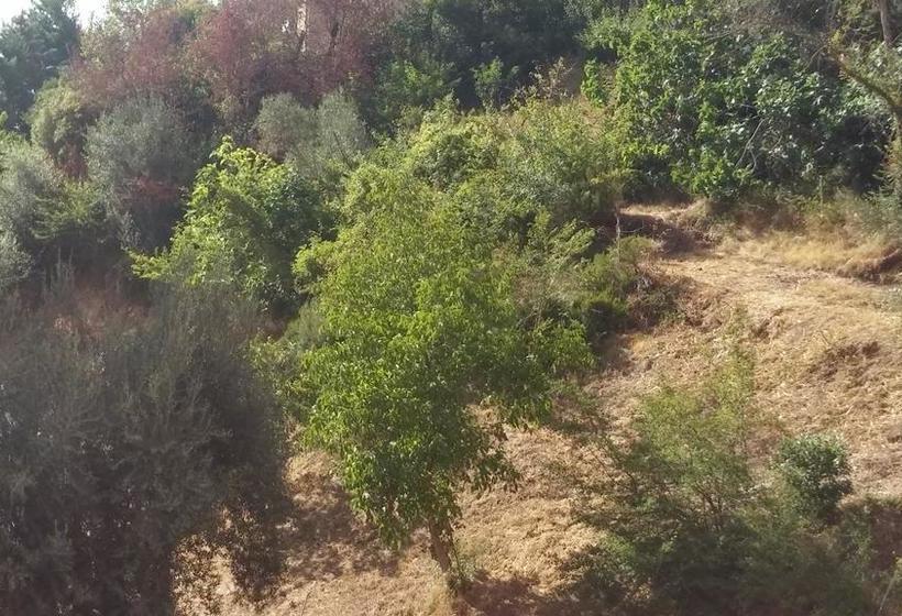 Accogliente E Ospitale B&b  | Pérouse | Perugia | Italie 5