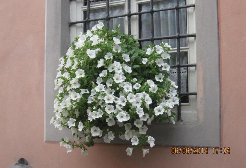 Bed and Breakfast La Gatta Sul Tetto  | Rossano | Cosenza | Italia 2