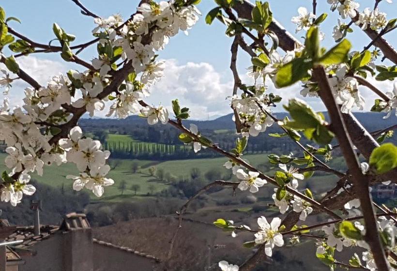 B&b44  | Amelia | Terni | Italie 5