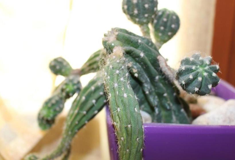 B&b Acero Rosso  | San Giovanni Lupatoto | Verona | Italia 17