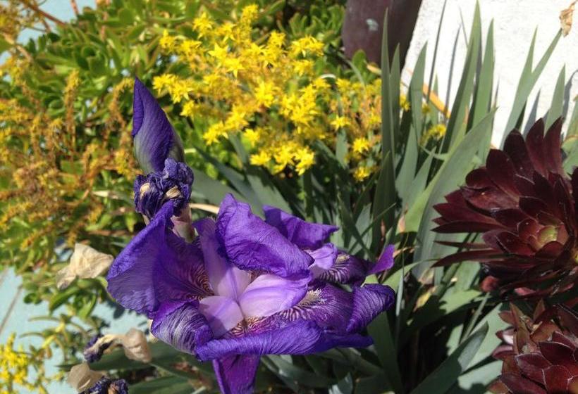 Bed and Breakfast Mare Blue  | Sapri | Salerno | Italia 5