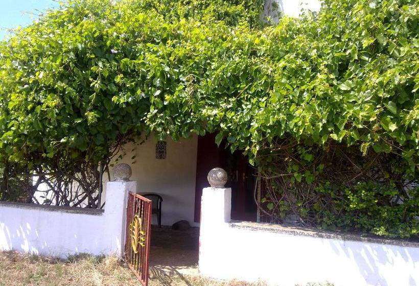 Bed and Breakfast Masseria Murgia Albanese  | Noci | Bari | Italia 16