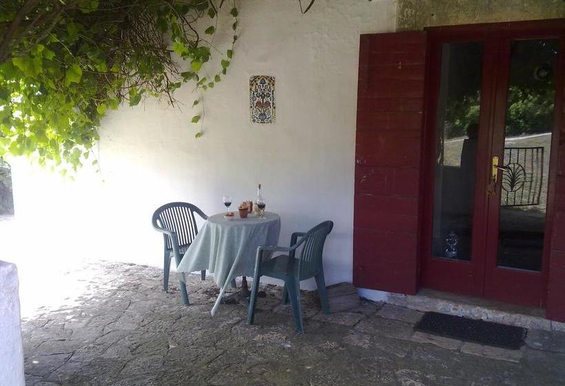 Bed and Breakfast Masseria Murgia Albanese  | Noci | Bari | Italia 17