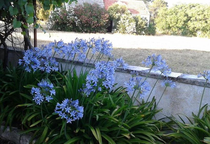 Bed and Breakfast Masseria Murgia Albanese  | Noci | Bari | Italia 18