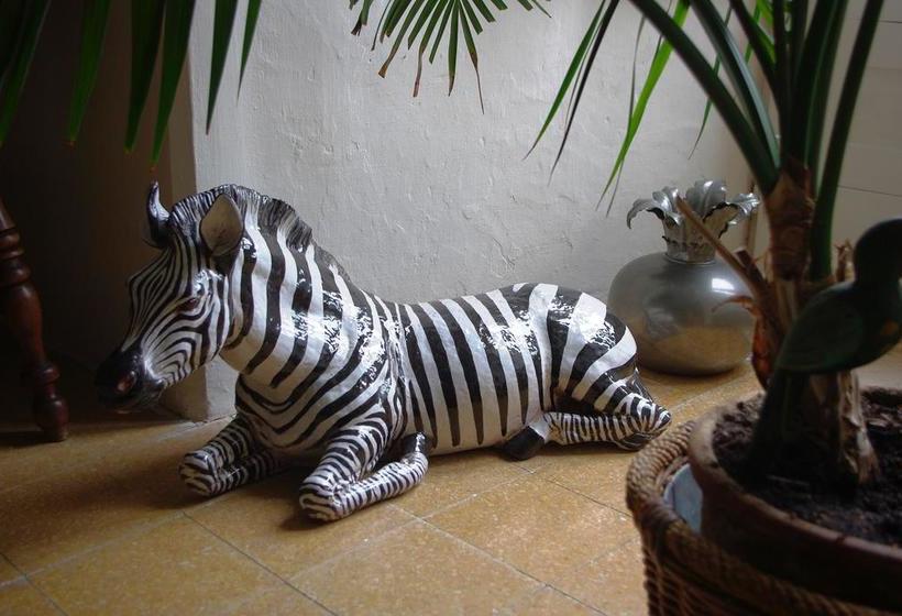 Bed and Breakfast Masseria Murgia Albanese  | Noci | Bari | Italia 6