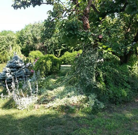 B&b Che Piasì  | Calamandrana | Asti | Italia 18