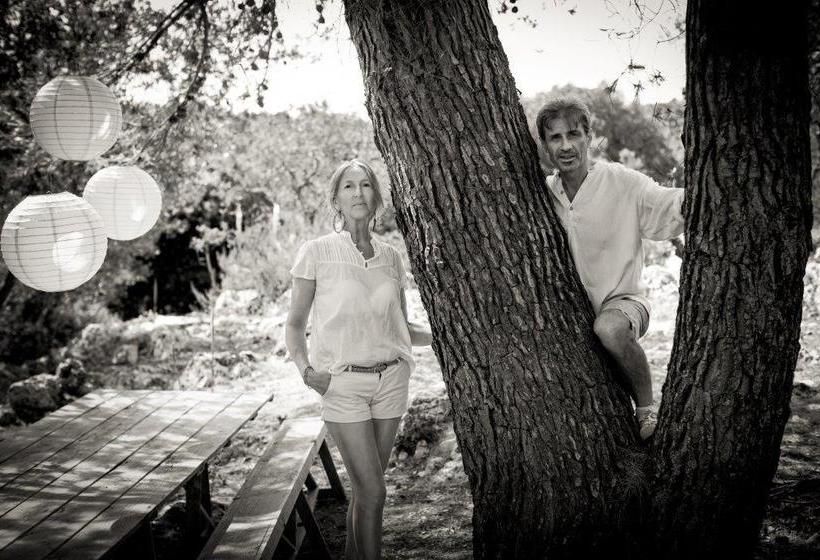 B&b Il Grillo Dalle Ali Turkesi